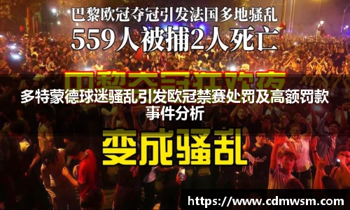 多特蒙德球迷骚乱引发欧冠禁赛处罚及高额罚款事件分析