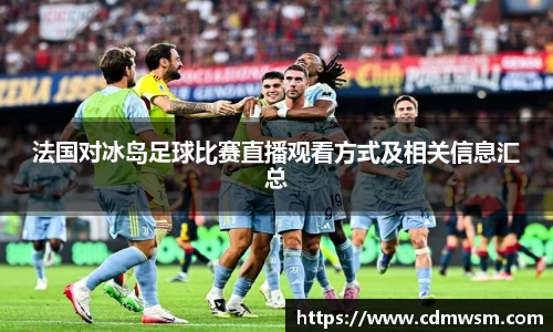 米兰法国对冰岛足球比赛直播观看方式及相关信息汇总
